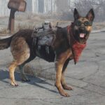 Best Animal Companions In RPGs