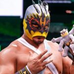 A wrestler in a Machamp-themed costume holds a Machamp plush.