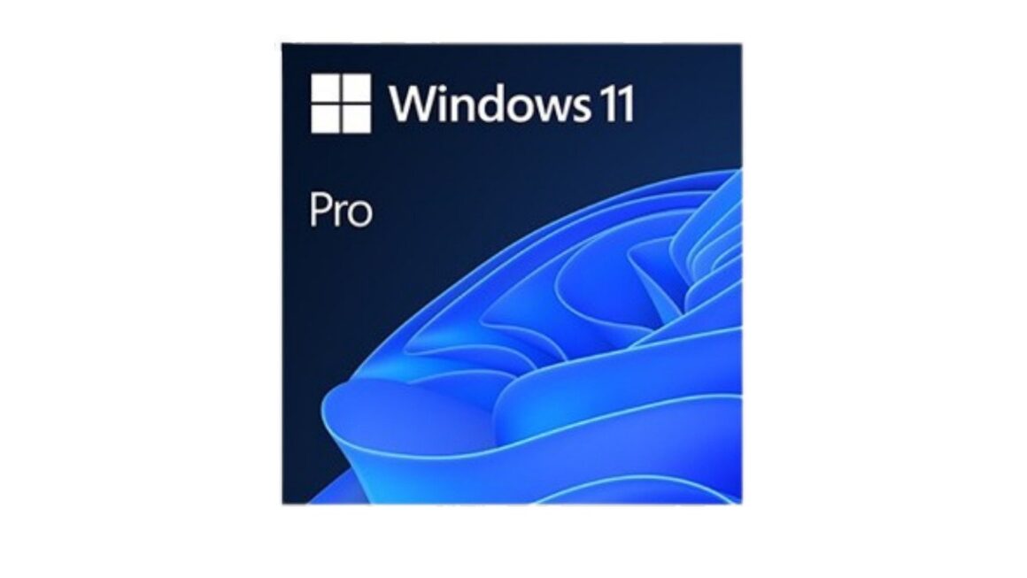 Windows 11 Pro