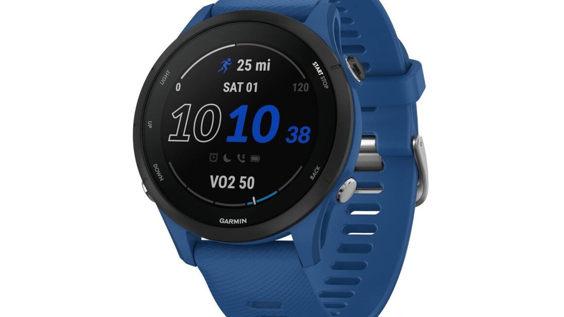 Garmin Forerunner 255 Watch