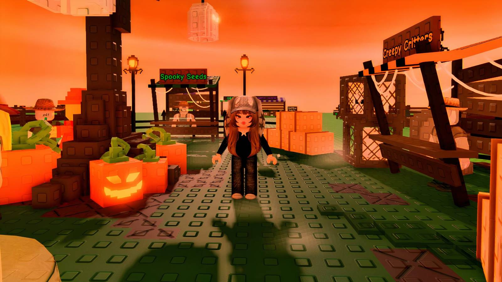 Develop a Backyard – Full Halloween Occasion Information