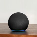 Amazonechodot