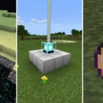 Rarest Items In Minecraft (& How To Get Them)