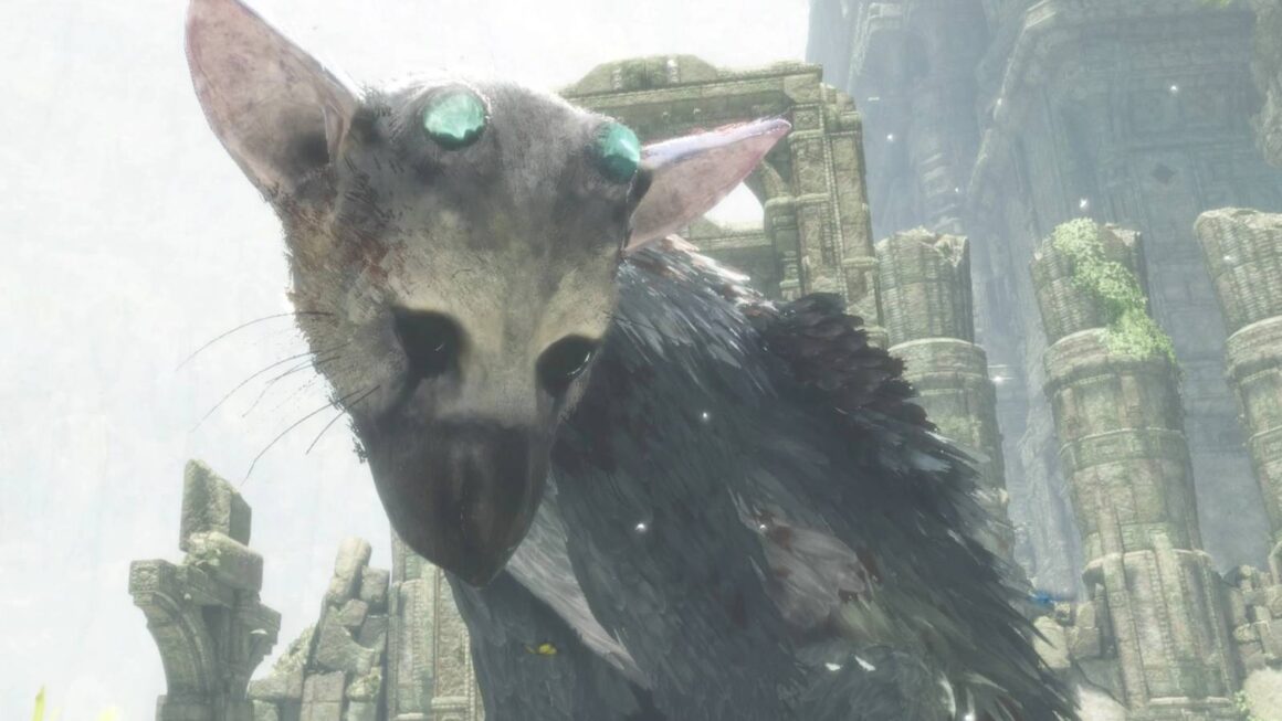 The Greatest Video games That Let You Construct A Relationship With Your Mount