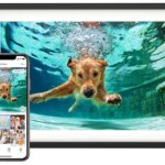 10 Digital Picture Frame