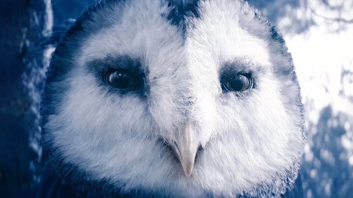 New MTG Powerhouse Is Already Included in Multiple Formats — And It’s Nearly Sold Out