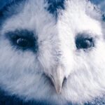 New MTG Powerhouse Is Already Included in Multiple Formats — And It’s Nearly Sold Out