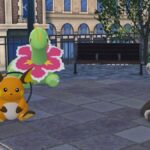 Raichu, Meganium, and Houndoom sit on the ground.