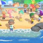 Everything You Need To Know