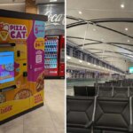 Pizza Cat Vending Machine Review: Hot, Bland, And Convenient