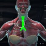 How to Discover New Symptoms in Quarantine Zone (Laboratory Guide)