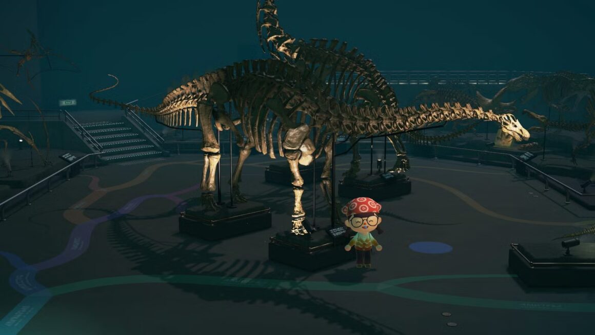 The right way to Discover All Fossils in Animal Crossing New Horizons